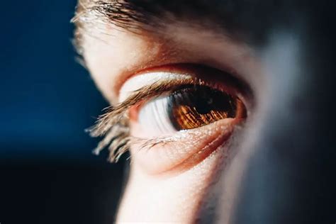 Exploring Beta Blocker Eye Drops: Uses and Benefits.